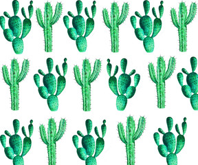 Watercolor cactus pattern. Illustration of a tropical garden in a watercolor style.
