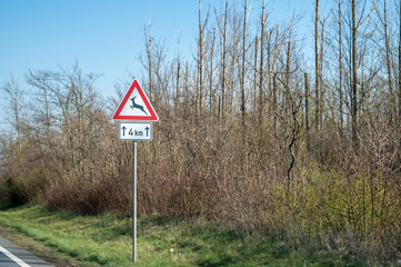 Warnschild wegen Wildwechsel in bewaldetem Gebiet