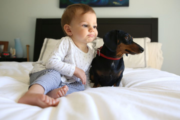 Baby girl with dachshund on bed
