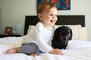 Baby girl with dachshund on bed