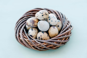 Beautiful colorful quail eggs in bird nest on light blue background.