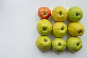 square composition of 9 Golden apples