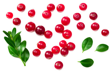 Cranberry with green leaves isolated on white background. top view