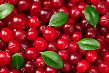 Cranberry with leaves. Cranberry background. Food background