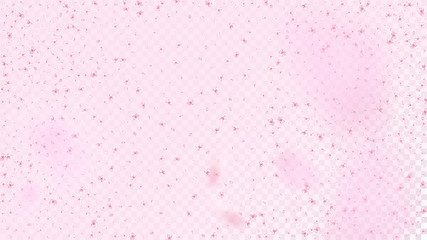 Nice Sakura Blossom Isolated Vector. Spring Falling 3d Petals Wedding Design. Japanese Nature Flowers Illustration. Valentine, Mother's Day Watercolor Nice Sakura Blossom Isolated on Rose