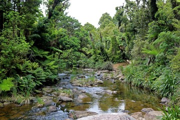 Wairere Falls