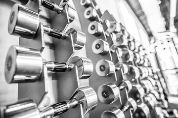 Fototapeta premium FITNESS INTERIOR