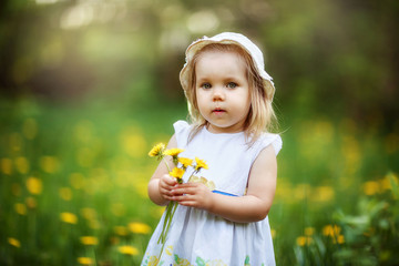 a girl with wild flowers walks in the spring in a clearing, dandelions are blooming, a happy child