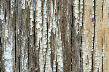 Old wooden board with peeling lacquer coating