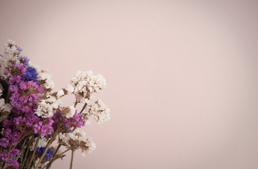 Wild purple, white and violet flowers in the corner on pink background. Copy space