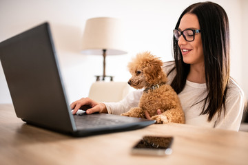 Young woman sitting at the desk at her home, working on the laptop while her puppy pet sits on her...