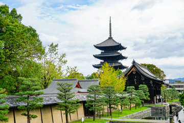 Fototapeta premium 京都 東寺