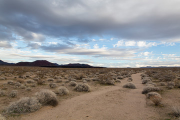 Southwest Desert Mountains