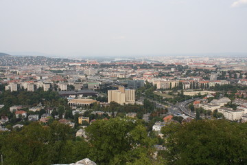A view of a city with a mountain in the background