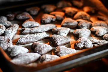 Fresh chocolate pastry, cookies baked in the oven. Selective focus. 