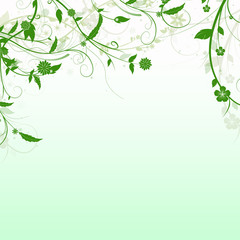 Elegant white and green background with swirls, flowers and butterflies and space for your text. Spring illustration.