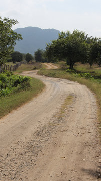 camino en el campo