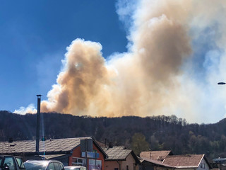 Obraz premium a large fire from the forest with smoke leaving the atmosphere