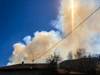 
a large fire from the forest with smoke leaving the atmosphere