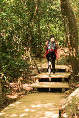 Fototapeta premium Mujer caminante en el bosque 