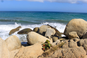 Fototapeta na wymiar Fuerza de las olas en rocas del mar