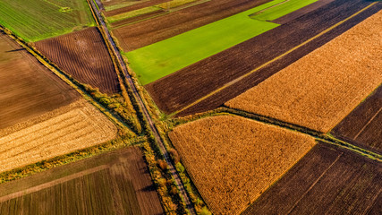 Autumn in the field, Poland Mazovia