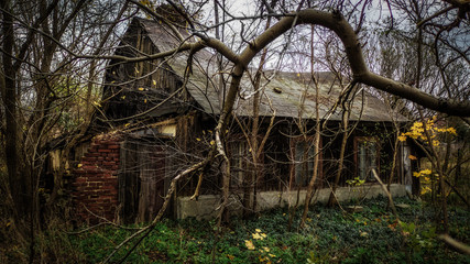 Old cottage in Mazovia, Poland