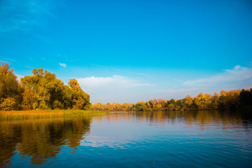 Yellow trees with beautiful leaves in the autumn near the river