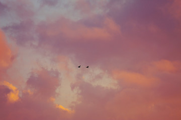 flying in the sky