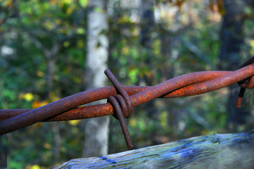 Barb Wire Strand
