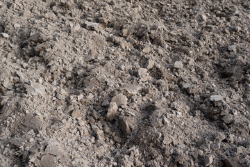 Plowed land before sowing crops.