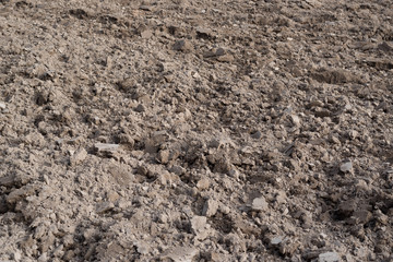 Plowed land before sowing crops.