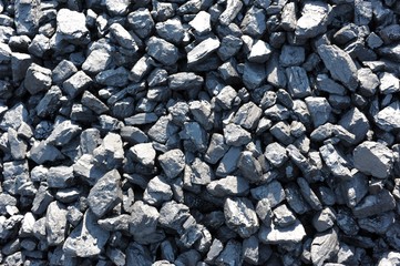 Coal