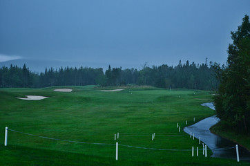Rainy Day Golf Course with Mist and Wet Cart Path and Forest