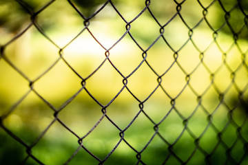 Fototapeta premium Rusty wire fence in the middle of the jungle, pond and treed in the blurred background