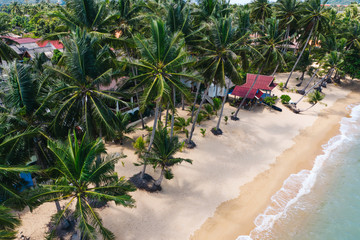 Aerial scenery of picturesque coastline with turquoise water waves and green tropical palm. Bird's eye view of tropical beach shoreline of Thailand, beautiful tourist destination for summer vacations