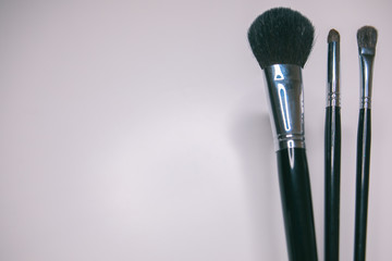 Makeup brushes set on white background