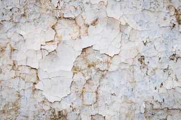 Full frame grunge background of weathered wall with chunks of stained white paint cracking away