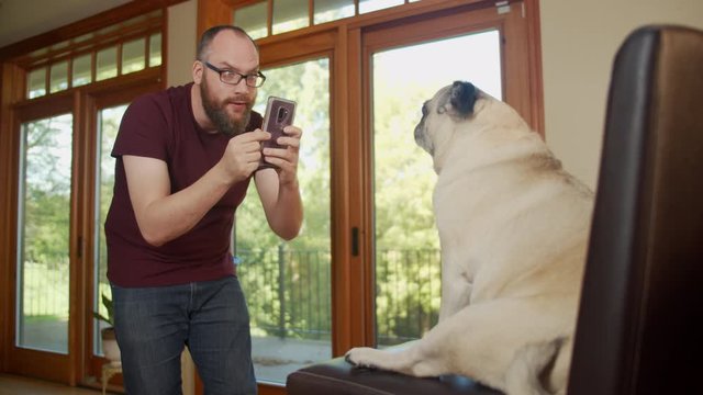 Millenial pet owner with beard and glasses uses cell smartphone to take photos of cute pug dog.