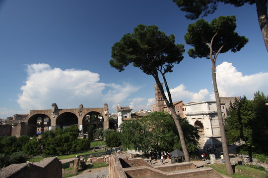 Basilica Of Maxentius And Arch Of Titus