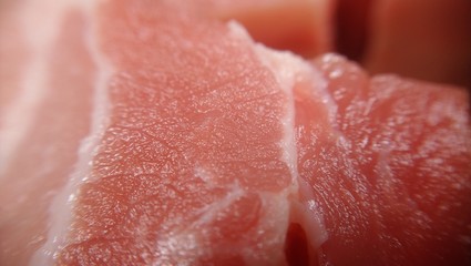 Macro of a pork rib