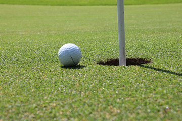Golf ball on the green. 
