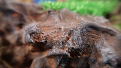 Rock of a mockup , macro shot