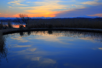 Fototapeta premium 木場潟の夜明け