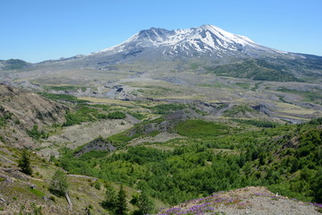 Obraz premium Landscape around volcano Sv. Helen, Washington