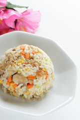 Chinese food, chicken and carrot fried rice on white plate