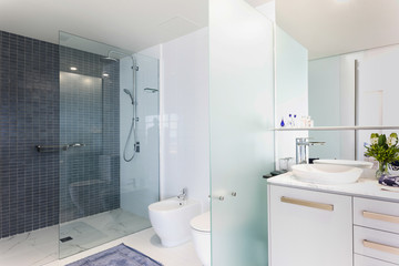 Bathroom in a prize home