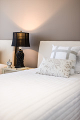 Vogue living image for a magazine