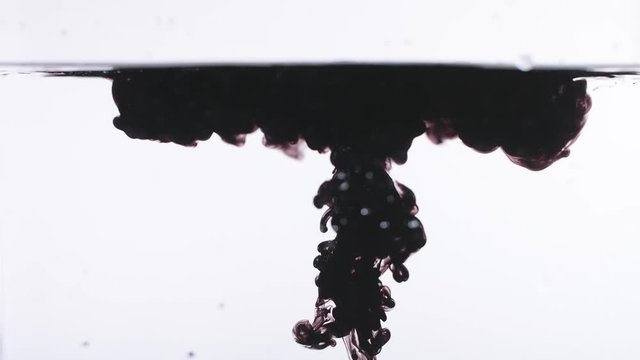 Black paint as yal gets into the water in slow motion