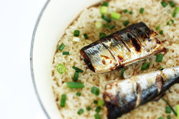 Japanese food, pacific saury and steamed rice 